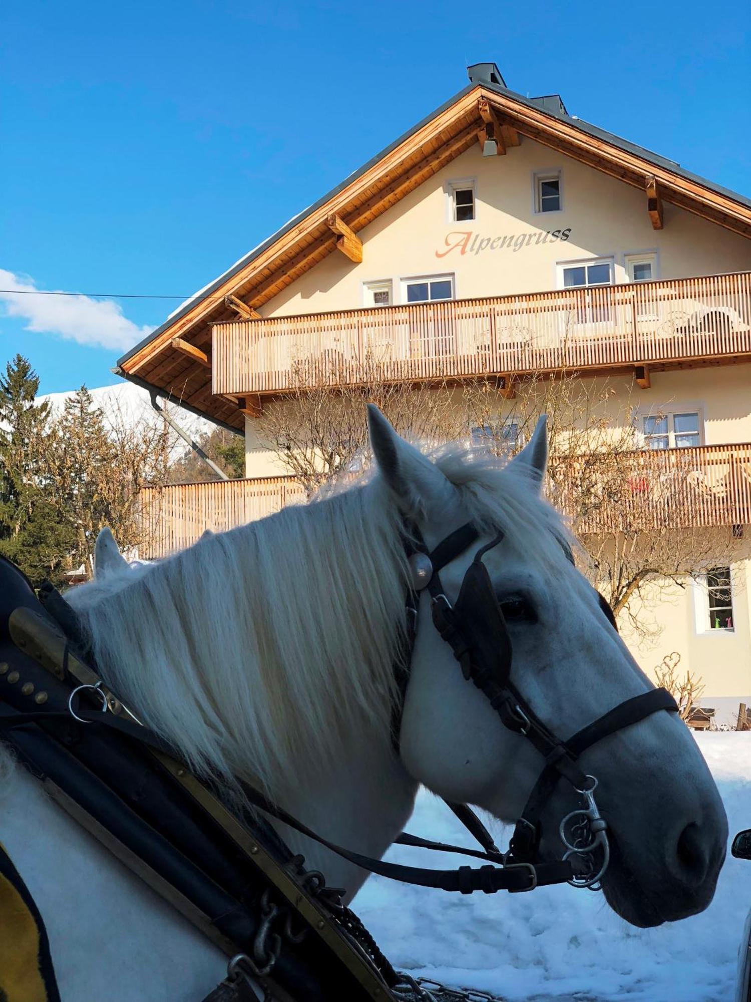 Hannas Alpengruss Apartment & Zimmer Seefeld no Tirol Exterior foto